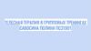 Телесная терапия в групповых тренингах