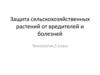 Защита сельскохозяйственных растений от вредителей и болезней