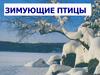 Зимующие птицы