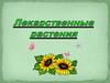 Лекарственные растения