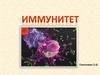 Иммунитет. Иммунная система человека