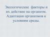 Экологические факторы и их действие на организм. Адаптация организмов к условиям среды