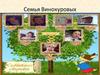 Семейное дерево Винокуровых