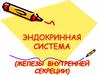 Эндокринная система (железы внутренней секреции)