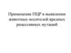 Применение ПЦР в выявлении животных-носителей вредных рецессивных мутаций