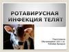 Ротавирусная инфекция телят