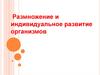 Размножение и индивидуальное развитие организмов