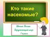 Кто такие насекомые?