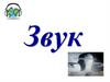Звук