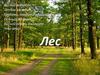 Лес. Виды леса