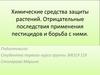 Химические средства защиты растений. Отрицательные последствия применения пестицидов и борьба с ними