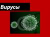Вирусы. Д.И. Ивановский