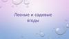 Лесные и садовые ягоды