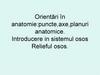 Orientări în anatomie:puncte,axe,planuri anatomice. Introducere in sistemul osos Relieful osos