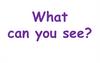 What can you see?