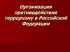 Организация противодействия терроризму в Российской Федерации