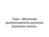 Молочная продуктивность крупного рогатого скота