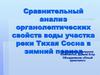 Сравнительный анализ органолептических свойств воды участка реки Тихая Сосна в зимний период