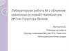 Влияние различных условий (температура, pH) на структуру белков. Лабораторная работа 1