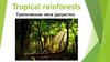 Tropical rainforests