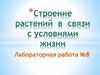 Строение растений в связи с условиями жизни