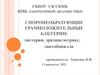 Споронеобразующие грамположительные бактерии: листерии, эризипелотрикс, лактобацилла