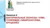 Бактериальные зоонозы: чума, туляремия, сибирская язва, бруцеллёз. Занятие 4