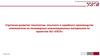 Стратегия развития технологии, опытного и серийного производства компонентов из полимерных композиционных материалов  АО «УЗГА»