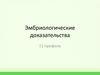 Эмбриологические доказательства
