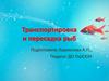 Транспортировка и пересадка рыб