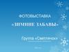Фотовыставка "Зимние забавы"
