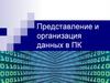 Представление и организация данных в ПК. Лекция 2-3