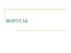 Вирусы