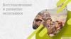 Восстановление и развитие экономики