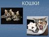 Кошки. От кого произошли кошки