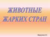 Животные жарких стран