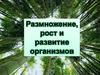 Размножение, рост и развитие организмов. Цветковые растения (покрытосеменные)