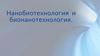 Нанобиотехнология и бионанотехнология
