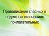 Правописание гласных в падежных окончаниях прилагательных