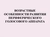 Возрастные особенности развития периферического голосового аппарата