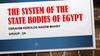 The system of the state bodies of Egypt
