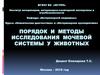 Порядок и методы исследования мочевой системы животных