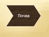 Почвы – верхний плодородный слой земной коры