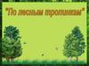 По лесным тропинкам. Викторина