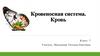 Кровеносная система. Кровь (7 класс)