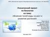 Влияние талой воды на рост и развитие растений.  5  класс