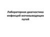 Лабораторная диагностика инфекций мочевыводящих путей