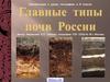 Главные типы почв России