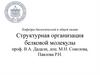 Структурная организация белковой молекулы. Лекция №1