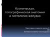 Клиническая, топографическая анатомия и гистология желудка